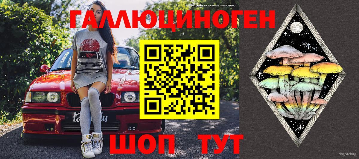 купить закладку  Псилоцибиновые грибы GOLDEN TEACHER  Вход с VPN  Северобайкальск 